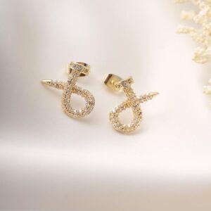 topo de clavo con brillo