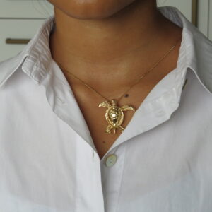 collar de tortuga dorada