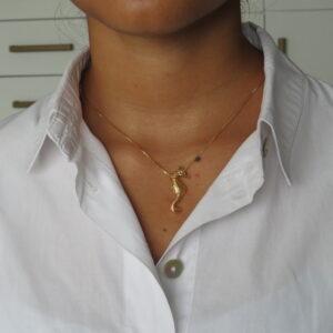collar de caballito de mar