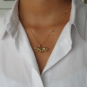 Collar de puma