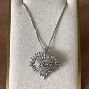 Collar de corazon con espina plateado